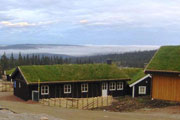 Zelená střecha na srubu